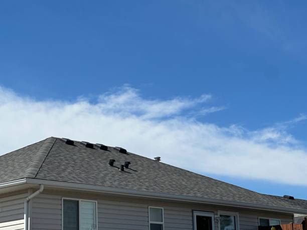 Fast & Reliable Emergency Roof Repairs in Elbow Lake, MN